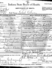 Lelah May Gibson (1872-1903) death certificate
