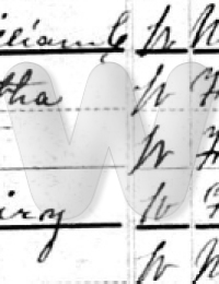 Fairy Nichels - 1880 US Census