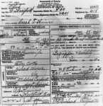Sarah Ann Moore Hines - Death Certificate