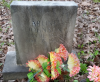 Orlena D. &quot;Arline&quot; Phelps - grave marker