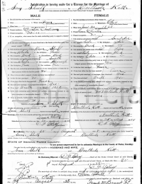 Darthula &amp; Samuel Shull - marriage certificate